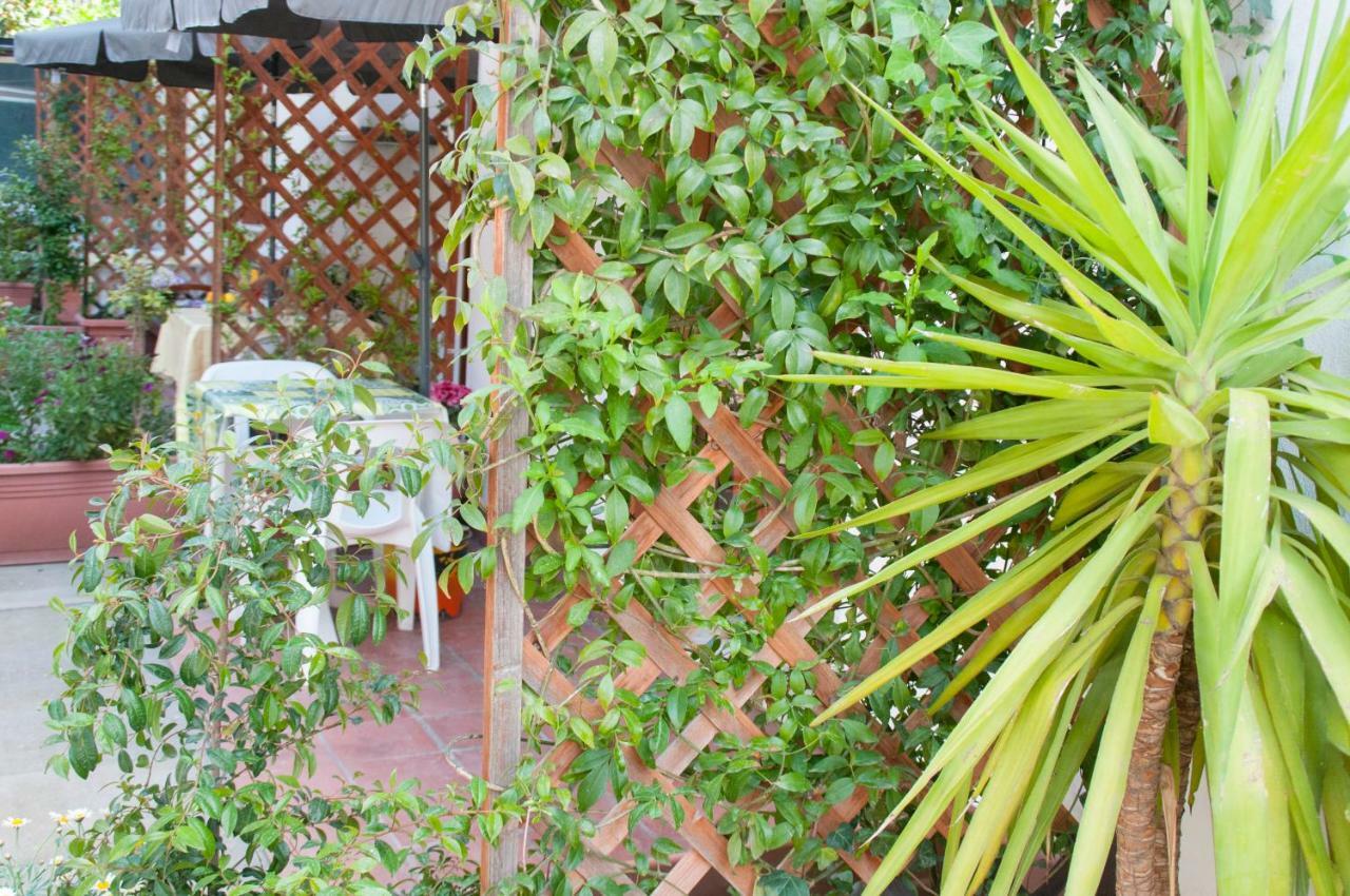B&B Sikily Naxos Giardini Naxos Eksteriør billede
